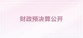 財政預決算公開